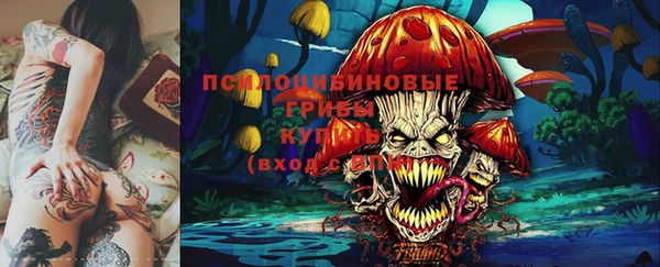 ешки Алексин