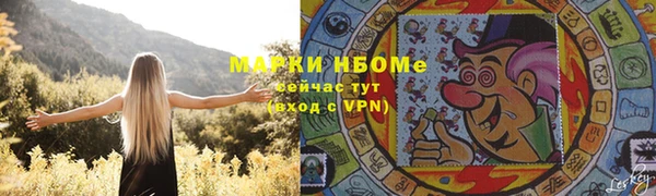 ешки Алексин