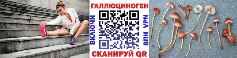 МЕГА как войти  Амурск  darknet как зайти  Псилоцибиновые грибы ЛСД 